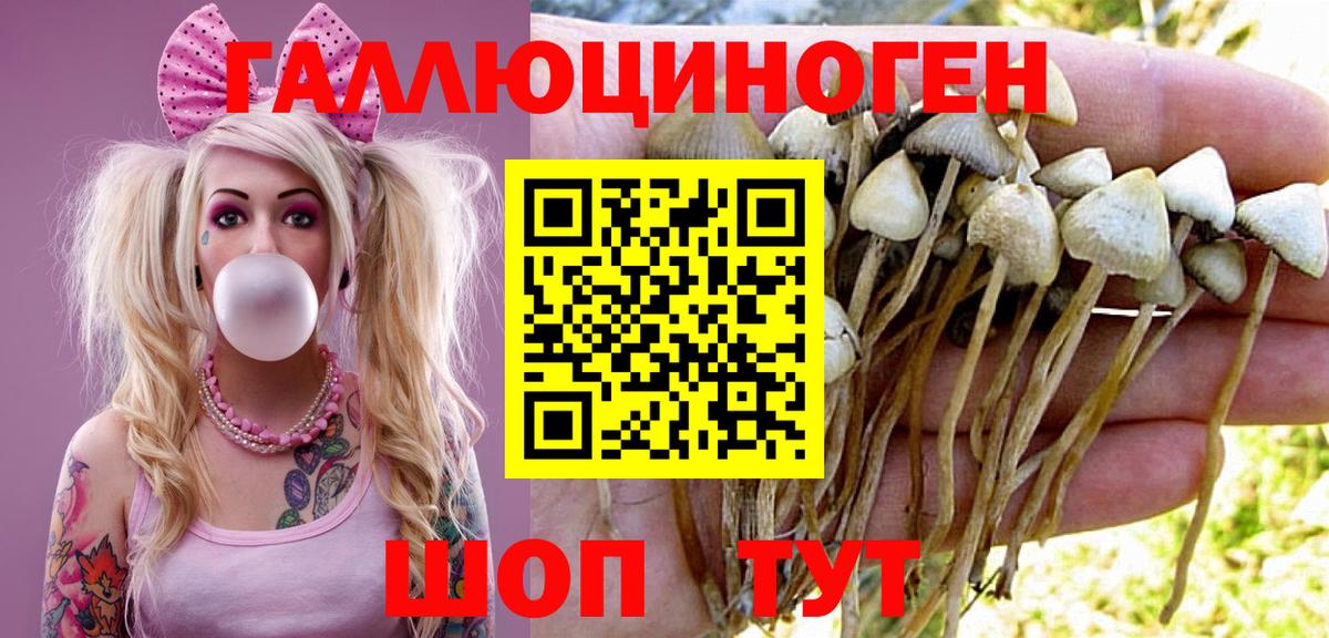 Псилоцибиновые грибы Cubensis  Вход с VPN  даркнет сайт  Псилоцибиновые грибы MAGIC MUSHROOMS  Шали 